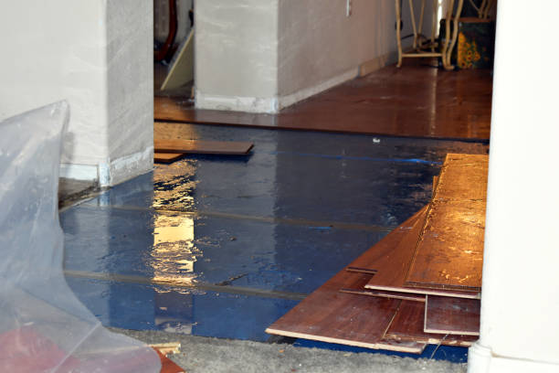Professional Water Damage Restoration technician working in Littleton, NH